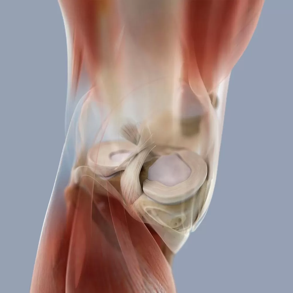 partial knee replacement in indore, knee replacement surgeon in indore, knee replacement doctor in indore, knee replacement in indore